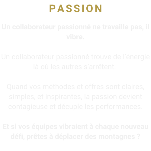 Passion pour l'excellence dans la vente